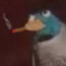 Oli's profile picture