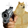 FRANZ's profile picture