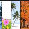 Truthfulness profil fotoğrafı
