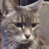 Profilbild von Devin