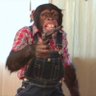 primate prime profil fotoğrafı