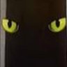 Catmeow profil fotoğrafı