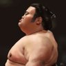 相撲関 profil fotoğrafı