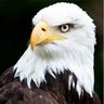 BorsaTeknikAnaliz profil fotoğrafı
