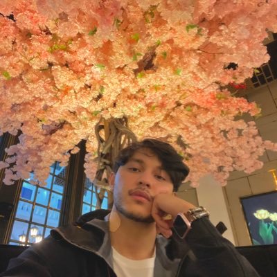 luminousRage's profile picture