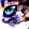 キキ/ kiki's profile picture