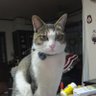 nonnon profil fotoğrafı