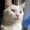 Profilbild von Kathy