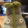 Tamamatammy 的头像