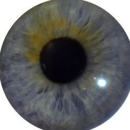 NgoloTesla's profile picture