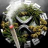 Фото профиля HODL4:20 ₿