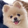 そらちゃんねる 的头像