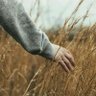 Daya🌾's profile picture