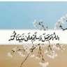 شمريه،'s profile picture