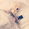 medicine _of_king's profile picture