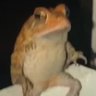 bonevoid's profile picture