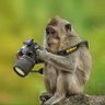 Фото профиля Luis E Beltran