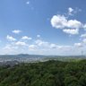 mabo 的头像