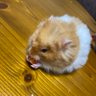 k's profile picture