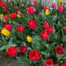 Фото профиля れいんちぇる