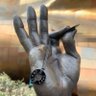 Nanci Freed's profile picture