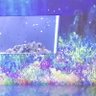Фото профиля col