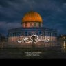 Marwa Khaled profil fotoğrafı