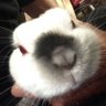 らみすけ😊٩(๑´͈ ꒫ `͈๑)۶'s profile picture