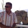 RAMZY BAZID profil fotoğrafı