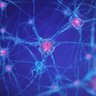 Neuron profil fotoğrafı