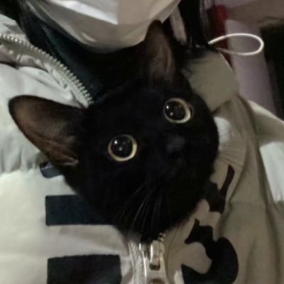 efliqpy's profile picture