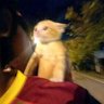 Фото профиля Multicentral