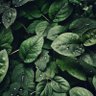 Фото профиля A.YLDZ