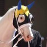 そだし(純粋(*•̀ᴗ•́*)輝き) profil fotoğrafı