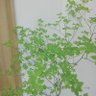 yuppy_st's profile picture