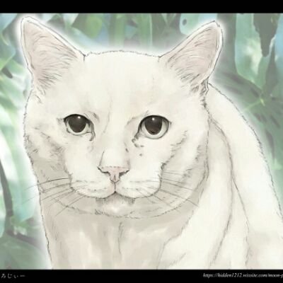 KyVSWOjWptrTThR's profile picture