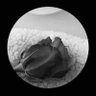 Profilbild von هــ يــ م ••