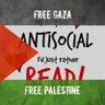 Khadira Ali 🇵🇸 profil fotoğrafı