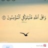 طمأنينة 的头像