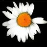 Karina Ferreyra's profile picture
