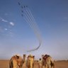 عبدالمجيد 🇸🇦⁩ profil fotoğrafı