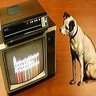 SelectaVision Cinema & TV's profile picture