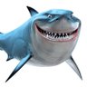 Profilbild von BULLSHARK