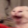 Profilbild von anti
