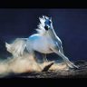 MH_Hussein profil fotoğrafı