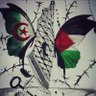 الواثقة بالله's profile picture