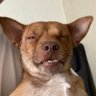 Helloworld's profile picture