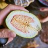豐謐愛寓_platefish 的头像