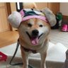 ハルンケア尿もれ's profile picture
