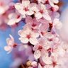 Фото профиля RKAD